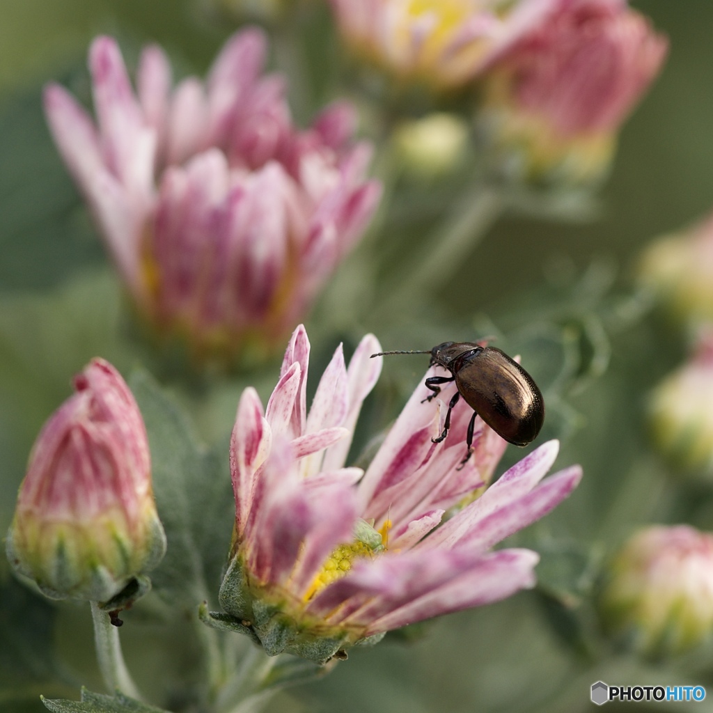 F003DD42-58F9-4F27-98E7-6537DEC51F52