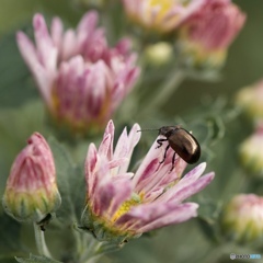 F003DD42-58F9-4F27-98E7-6537DEC51F52