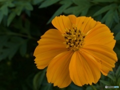 A1352F1B-CBE9-49E4-8E2D-7AF434EFF64C