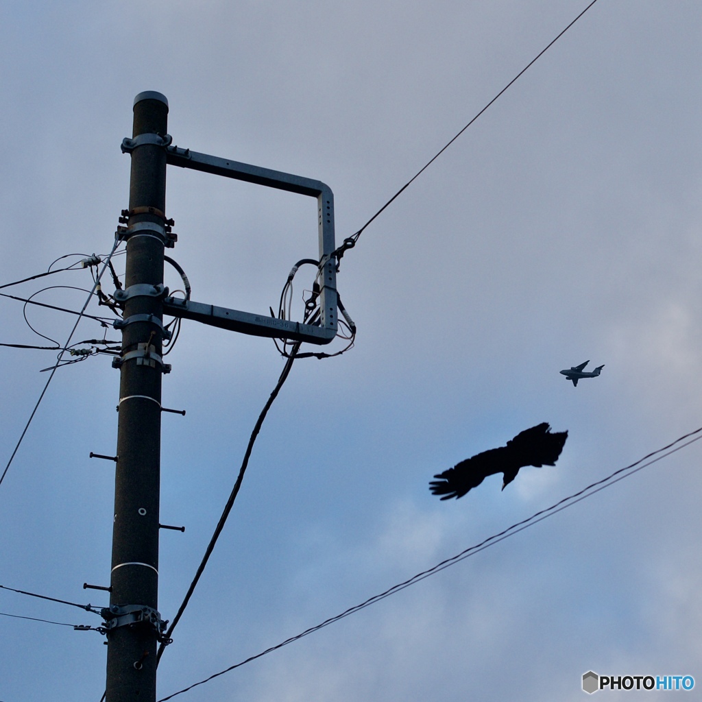 C1B3EA07-46DD-4128-8C0F-460B2F867EDA