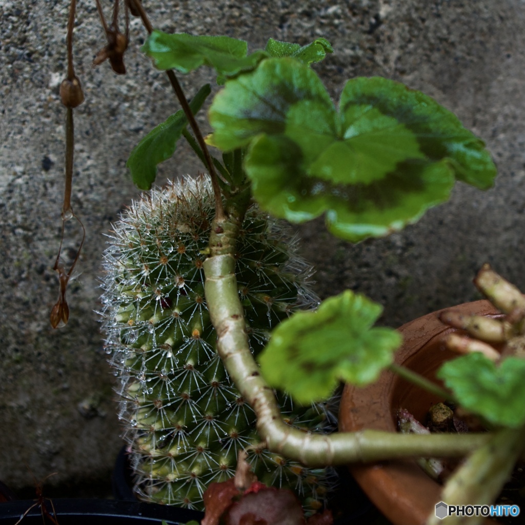 59F51B01-F733-4A7D-B7A7-05325CF6A94E