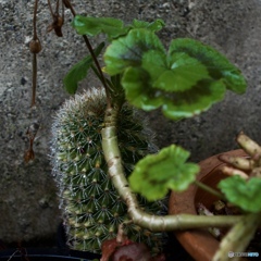 59F51B01-F733-4A7D-B7A7-05325CF6A94E