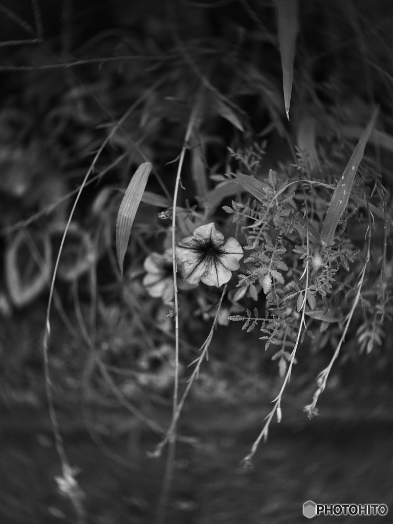 E5F21626-D7CF-4199-A774-C085CC1D2ABB