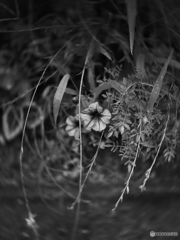 E5F21626-D7CF-4199-A774-C085CC1D2ABB
