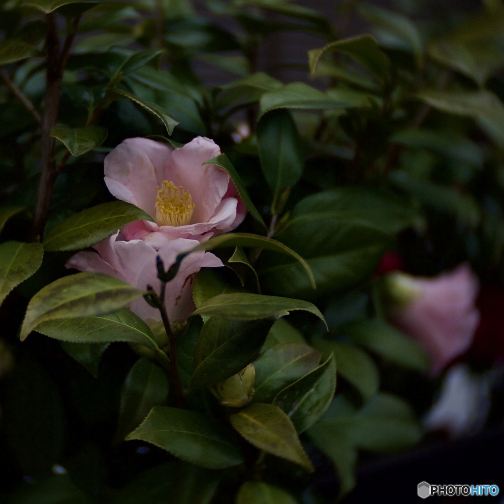 970456FC-C814-4217-A94B-ADB8E70545FD