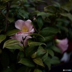 970456FC-C814-4217-A94B-ADB8E70545FD
