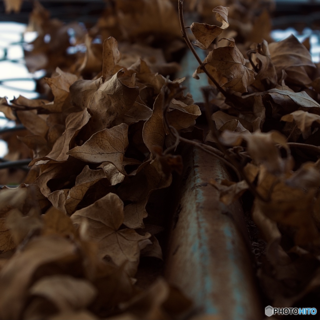 A0651E57-575E-4586-9B44-D2F1A5762627