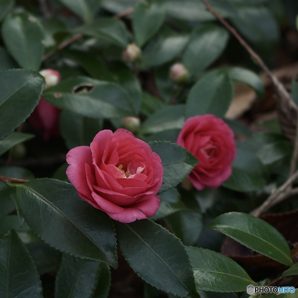 F6161B98-CF41-487F-A794-6E3B099F654B