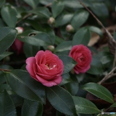 F6161B98-CF41-487F-A794-6E3B099F654B