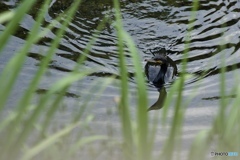 DAEA2854-81C6-4475-99AB-C0A000E3DBFA