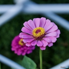 4CA78A03-788B-478B-8019-857E53AD8DC2