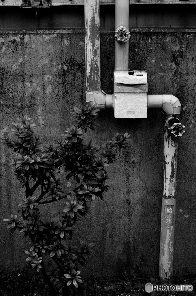 1C6F0769-8FF3-4006-A09F-35A9DBC850C1