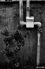 1C6F0769-8FF3-4006-A09F-35A9DBC850C1