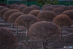 066D8414-8AFB-4211-A5E5-64627A253BBC