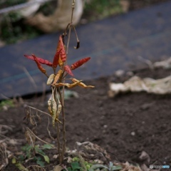 A354185E-22C9-4BF5-A343-F1FE37F370B1