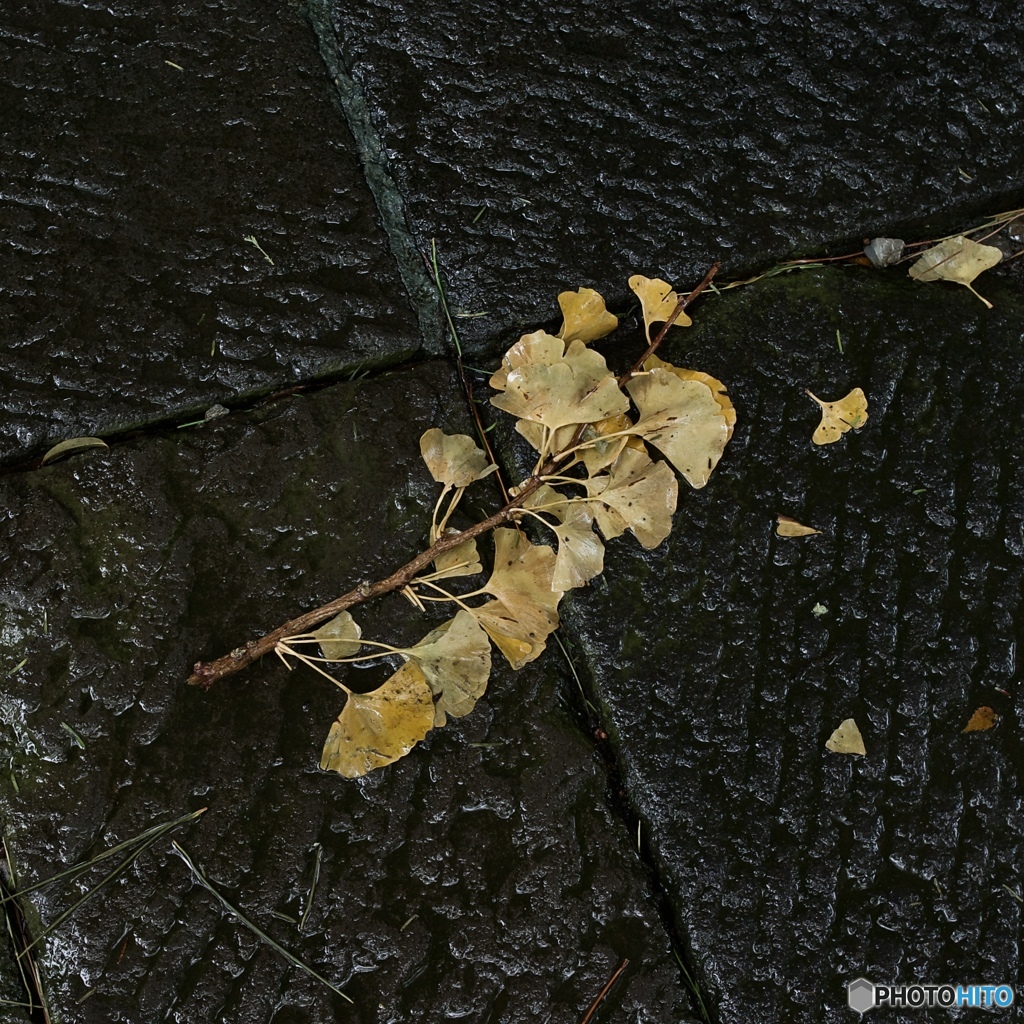 BC8695E1-F30B-4E8C-A608-3500783ADDB5