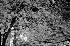 4A2E5442-D370-4C58-9B58-36788437BB49