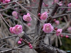 E8B3F262-5EB8-43BF-A8DF-9620288BBA50