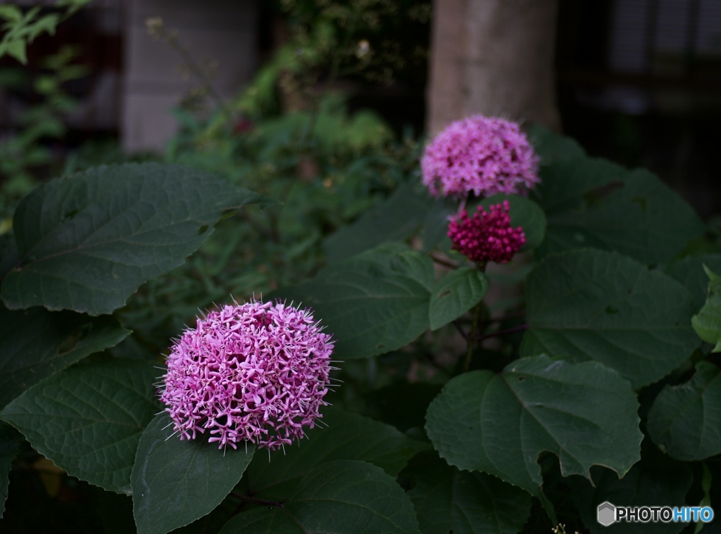 602304EF-686F-46A4-8B7D-71983A6C35B8