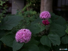 602304EF-686F-46A4-8B7D-71983A6C35B8