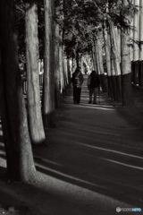 93A8533F-4C03-47BA-BA13-77EE600F377B