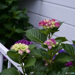 DAE9E631-0581-4BB1-B981-1A172C6BB71B