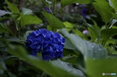 6050F376-B33D-4393-A233-6094AAB5F6F0