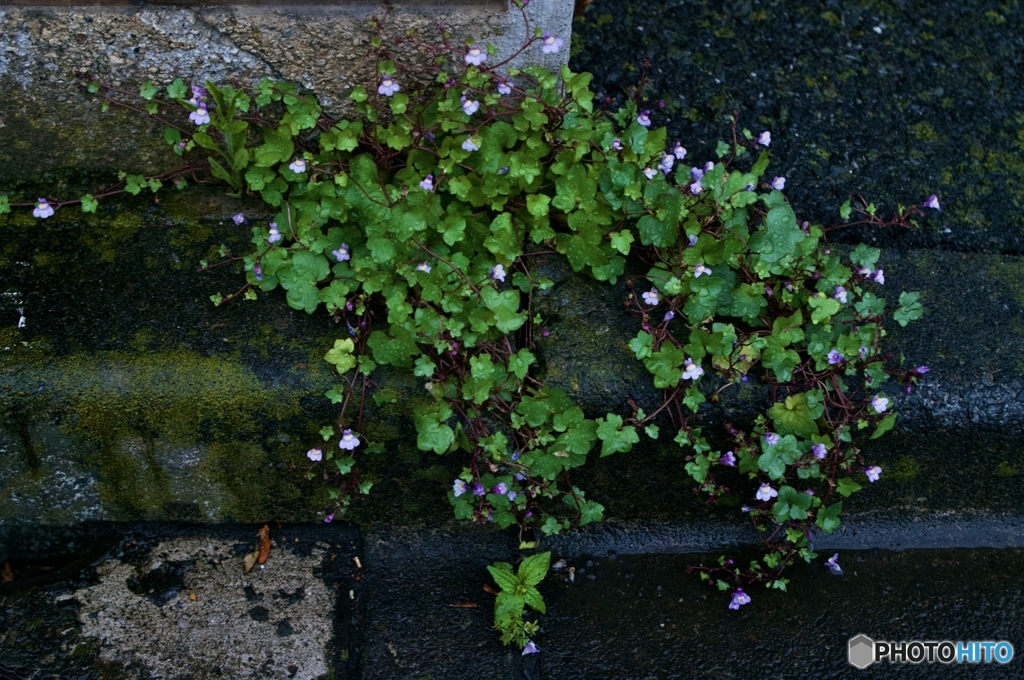 3E00F0CD-C3AE-444E-825C-24D98F95BDED