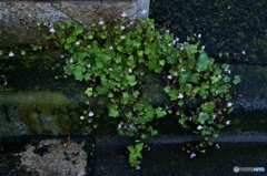 3E00F0CD-C3AE-444E-825C-24D98F95BDED