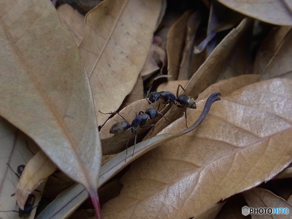 0C9FD3D3-B151-4ACF-8CB0-D3AEE88C45D3