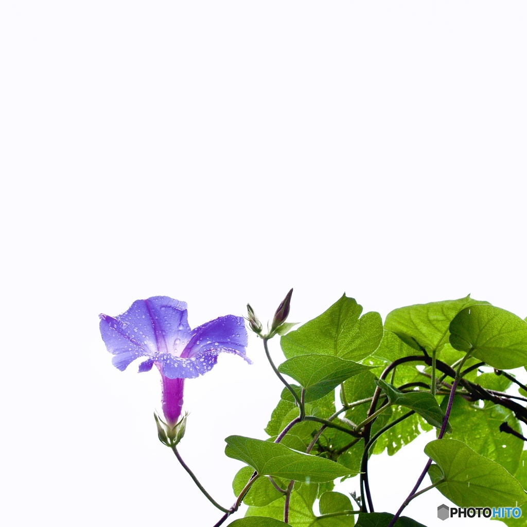 A2B1262D-42D2-4715-B8BC-9349832BC57E