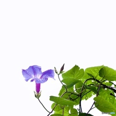 A2B1262D-42D2-4715-B8BC-9349832BC57E