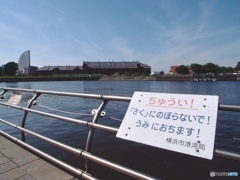 E2BAF9BE-54A1-4D02-A663-B3D8600A1554