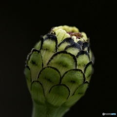 CB9346A7-57B4-43C6-AC1A-E7FB5B6640C0