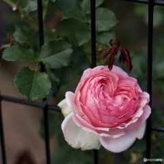 6C5B341F-43AD-43F4-96E8-07CACF737964