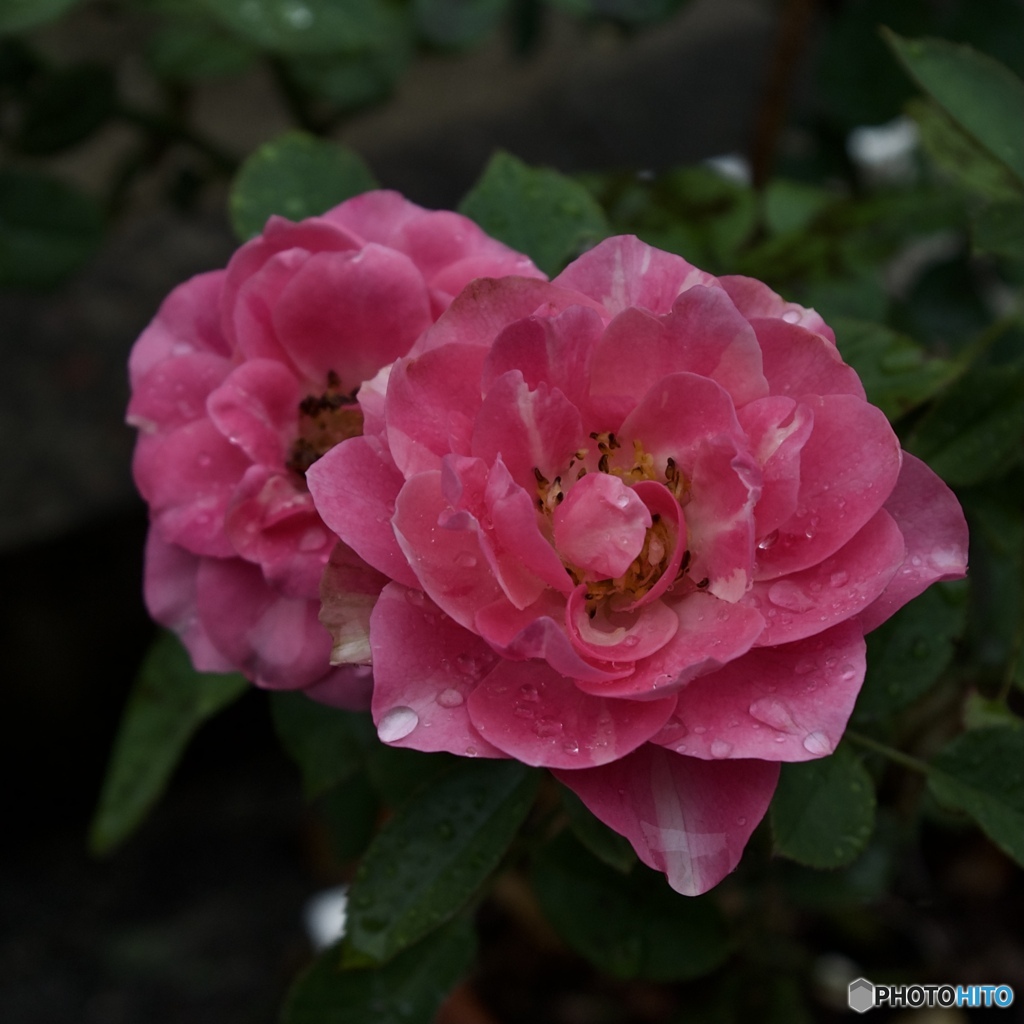 488BF78A-7630-431F-A650-67ED9E951BCF