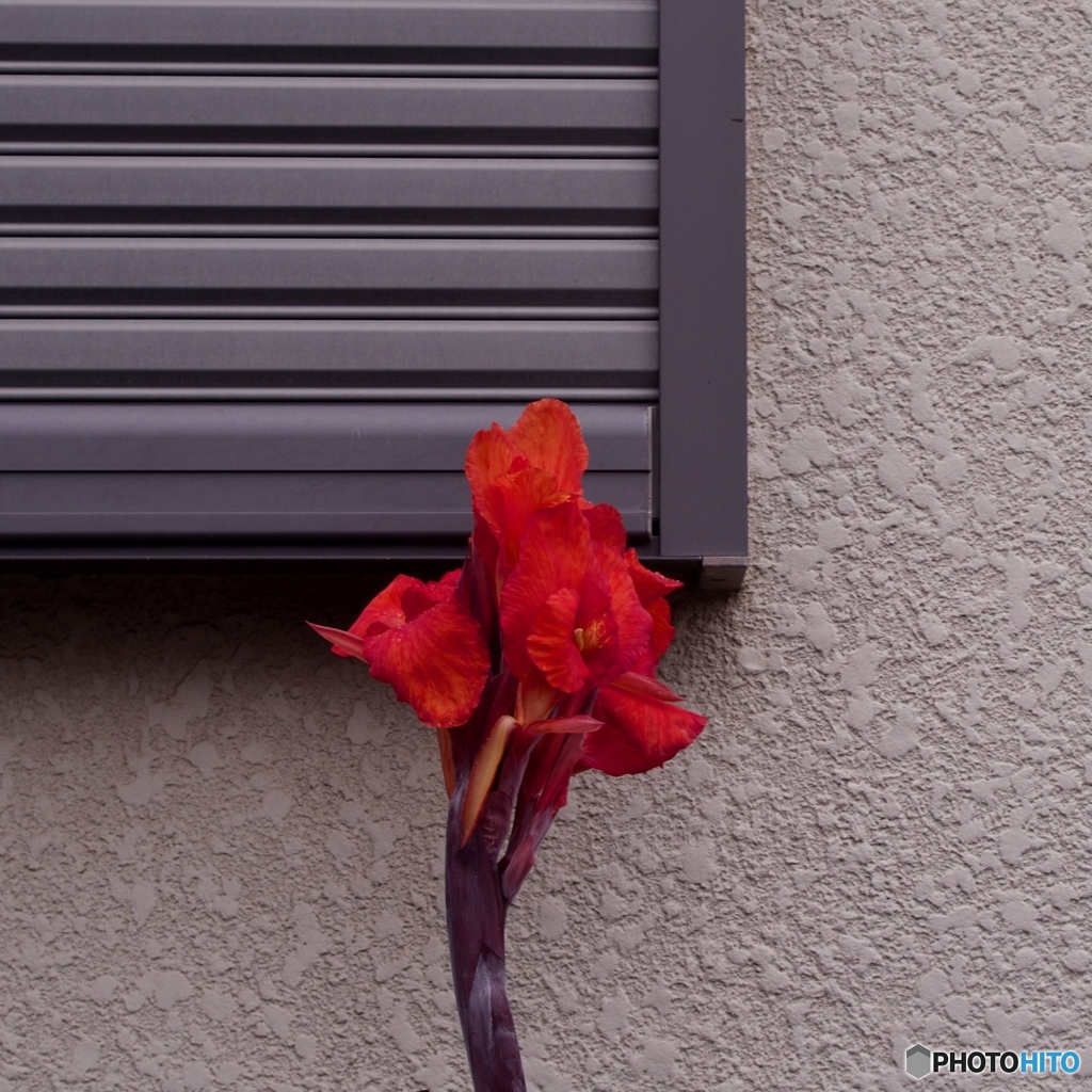 AEC3DCC8-7F20-4590-A798-6D8191B62CAA