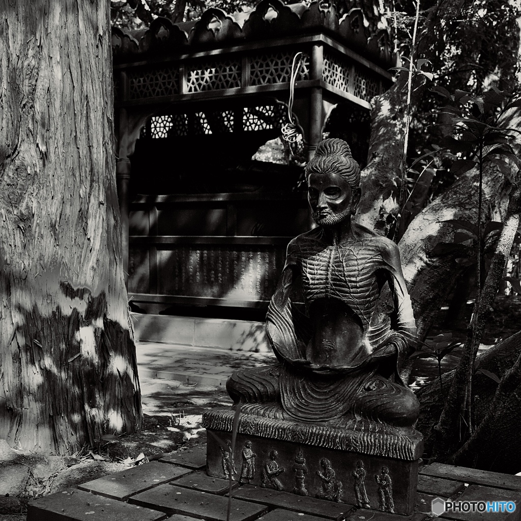 E1CF8C7D-79B7-48DD-9CCE-8781BBC90FD9