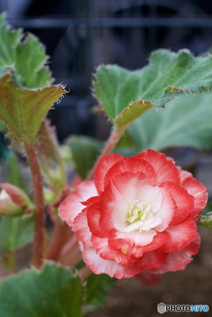 F5C3C9A9-7F28-4DBB-8902-680B8CA7CAA4