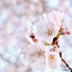 DB882DA6-1E06-4384-B376-96E5D188A6B4
