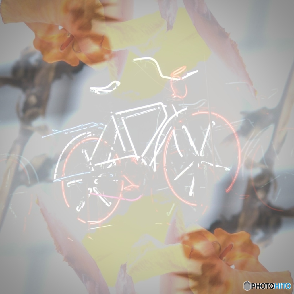 A4F9F78A-81B8-4DDD-822A-A946E8930CA5