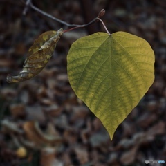 F823CE00-E7AC-4DC6-A587-0DB603416E06