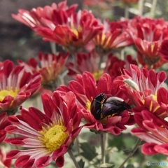 ECA3AB0C-CC1C-455C-87B7-C3692984C3E1