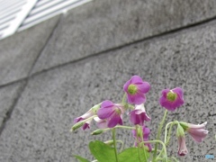 1989C3D9-8B7E-4DE9-8CBC-A53F0BA8D99F