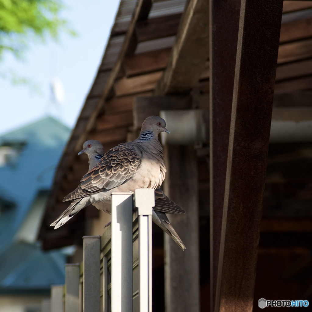 EDD97416-E569-455B-AFC6-C14EC9DB8992