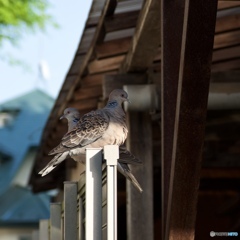 EDD97416-E569-455B-AFC6-C14EC9DB8992