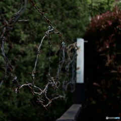 C229C921-BE76-4F6E-B06A-4B63E5B08603