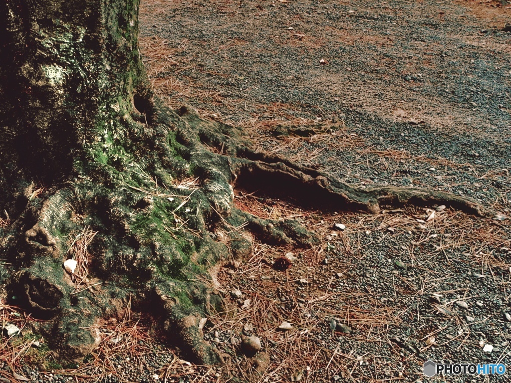 0C9B53CF-E7A6-40F6-A7C5-BECA9E9CB2BB