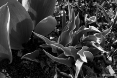 B840FEE1-ED20-4B30-97AB-2856ECD2E022