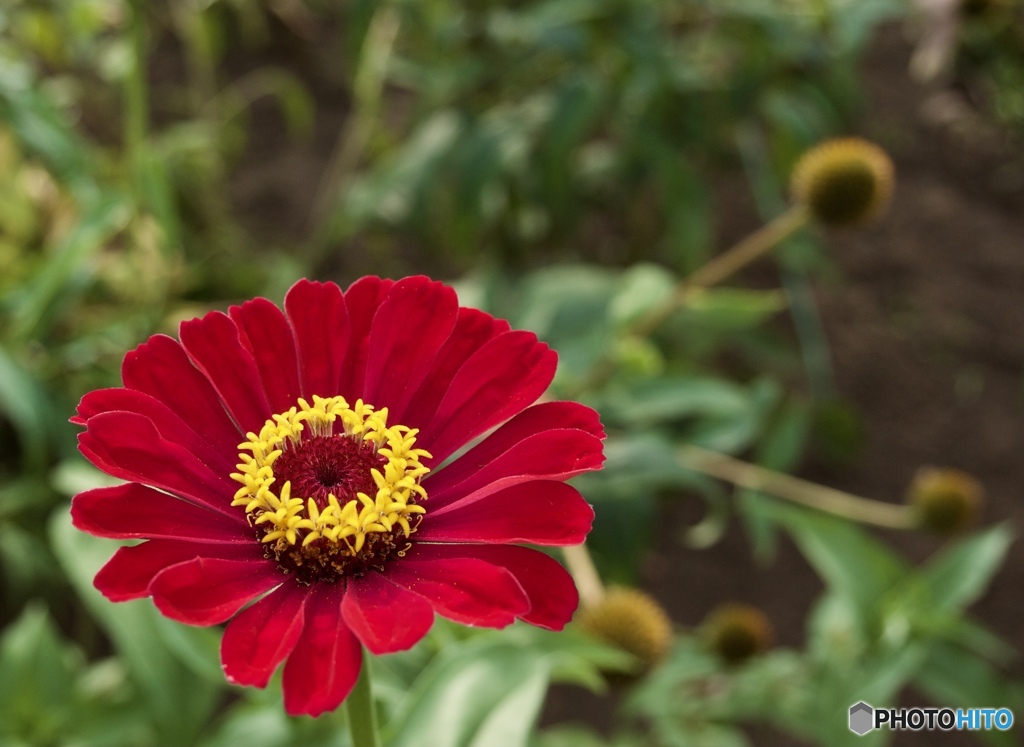 13518F35-F329-4159-ABD3-132A75D630EA